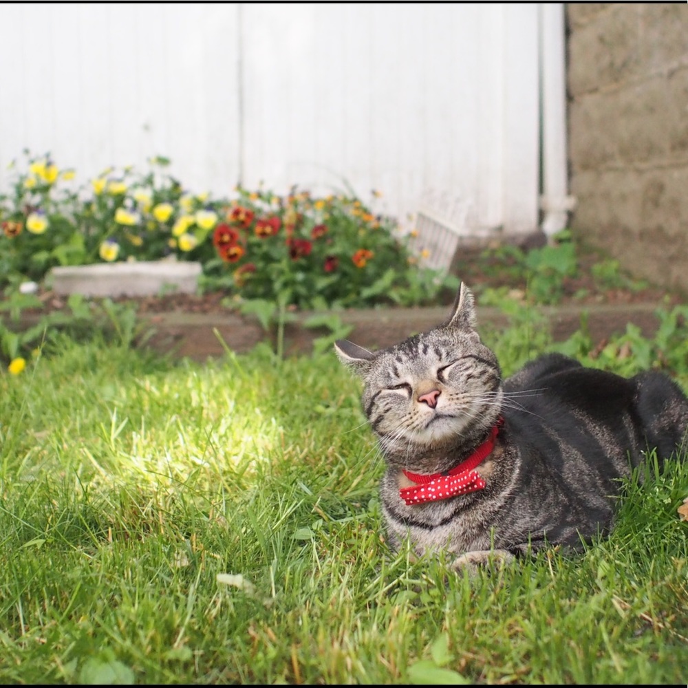 Meet your Posher, Sj